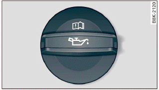 Fig. 165 Engine compartment: engine oil filling opening cover (example)