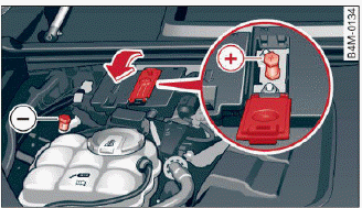 Fig. 168 Engine compartment: connectors for a charger or jump start cables