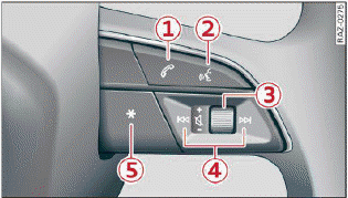 Fig. 18 Right side of the multifunction steering wheel